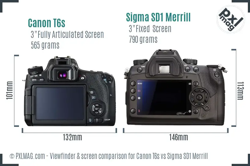 Canon T6s vs Sigma SD1 Merrill Screen and Viewfinder comparison