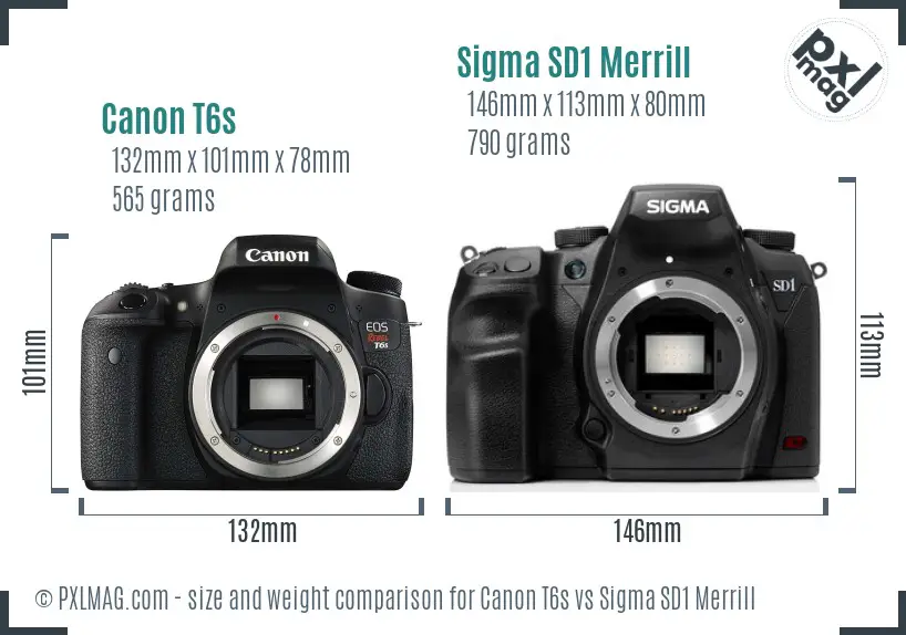 Canon T6s vs Sigma SD1 Merrill size comparison