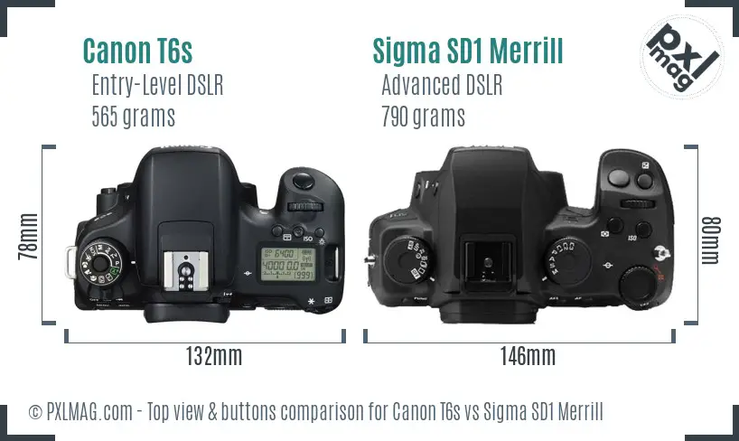 Canon T6s vs Sigma SD1 Merrill top view buttons comparison