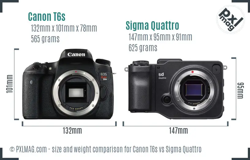 Canon T6s vs Sigma Quattro size comparison