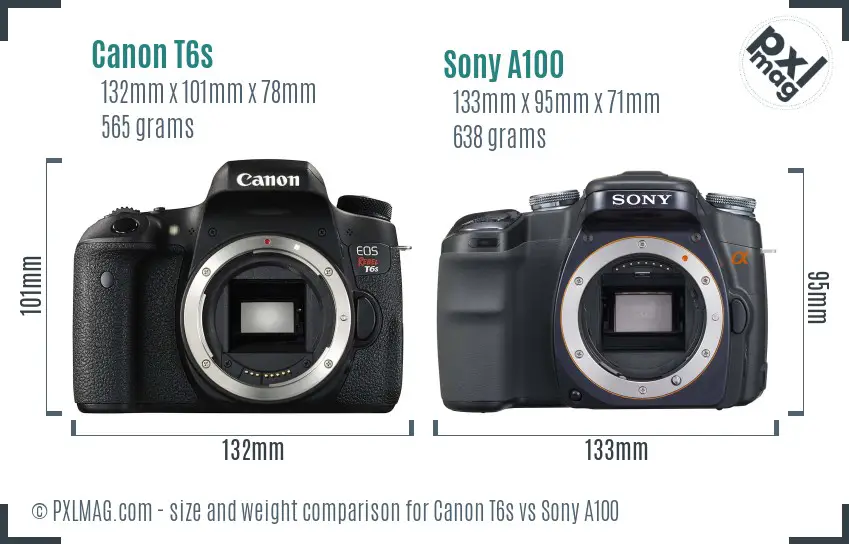 Canon T6s vs Sony A100 size comparison