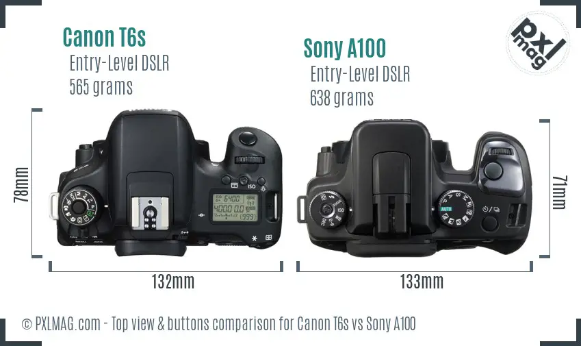 Canon T6s vs Sony A100 top view buttons comparison