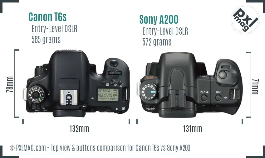 Canon T6s vs Sony A200 top view buttons comparison
