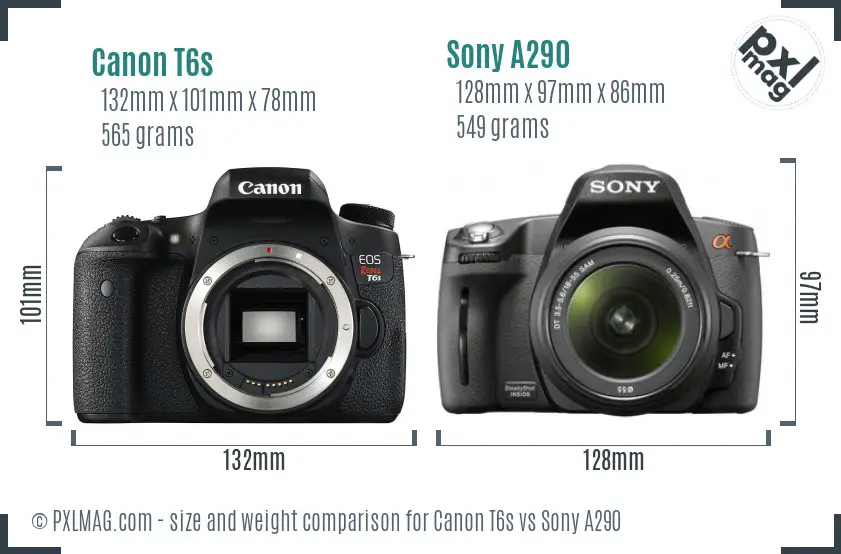 Canon T6s vs Sony A290 size comparison