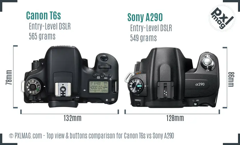Canon T6s vs Sony A290 top view buttons comparison