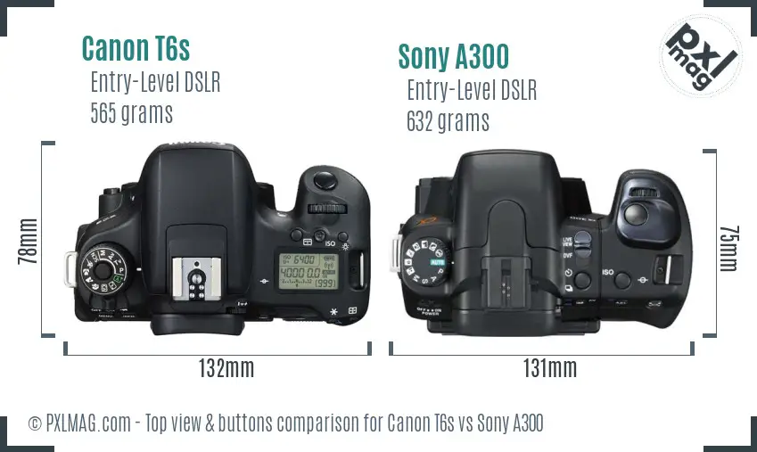 Canon T6s vs Sony A300 top view buttons comparison