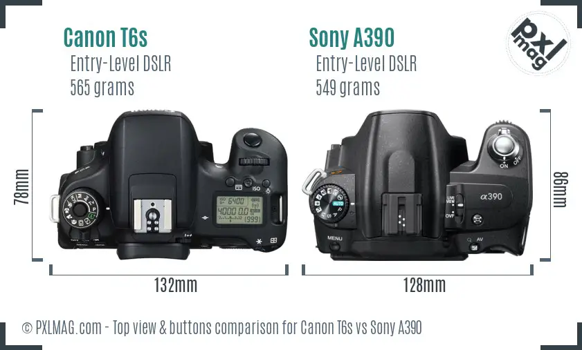 Canon T6s vs Sony A390 top view buttons comparison