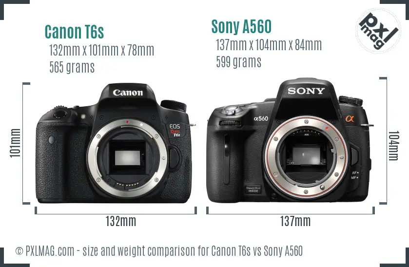 Canon T6s vs Sony A560 size comparison