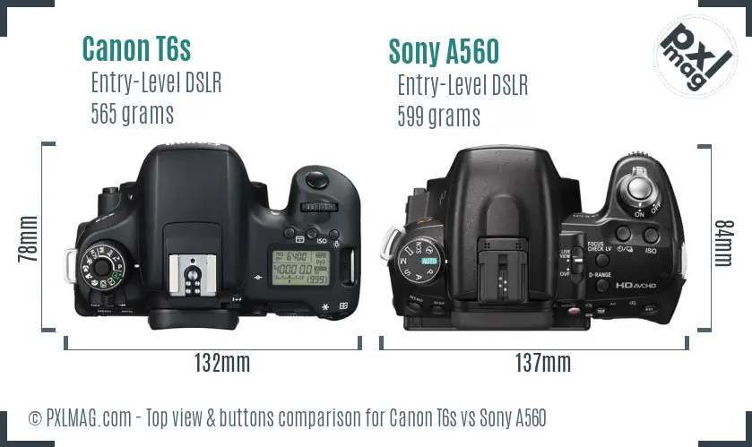Canon T6s vs Sony A560 top view buttons comparison
