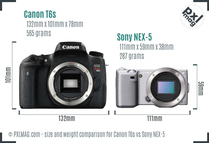 Canon T6s vs Sony NEX-5 size comparison