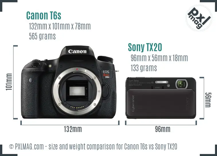 Canon T6s vs Sony TX20 size comparison