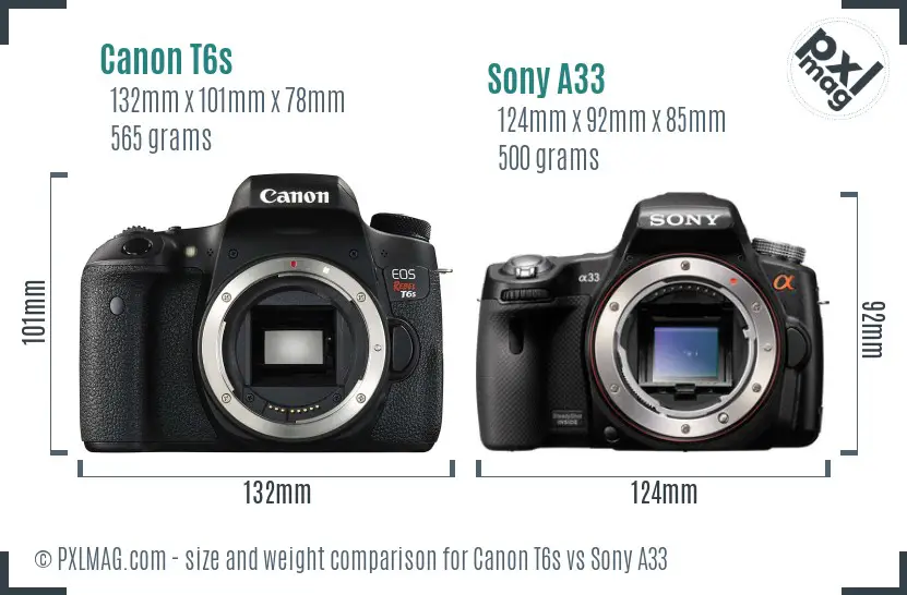 Canon T6s vs Sony A33 size comparison