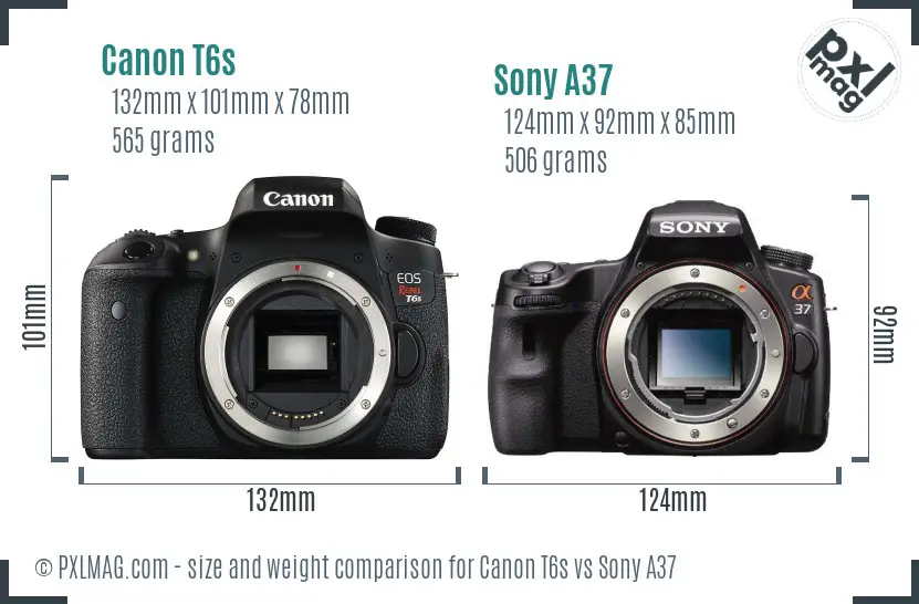Canon T6s vs Sony A37 size comparison