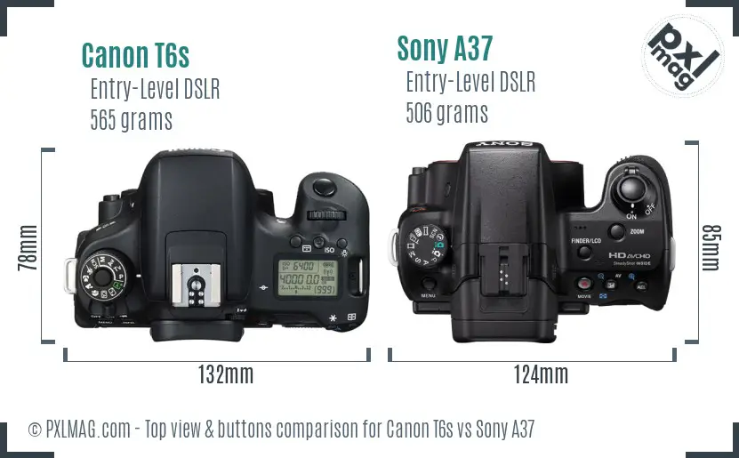 Canon T6s vs Sony A37 top view buttons comparison