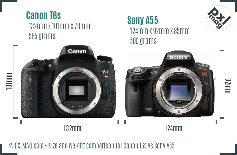 Canon T6s vs Sony A55 size comparison