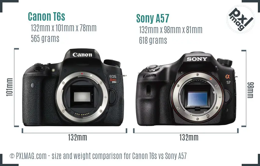 Canon T6s vs Sony A57 size comparison