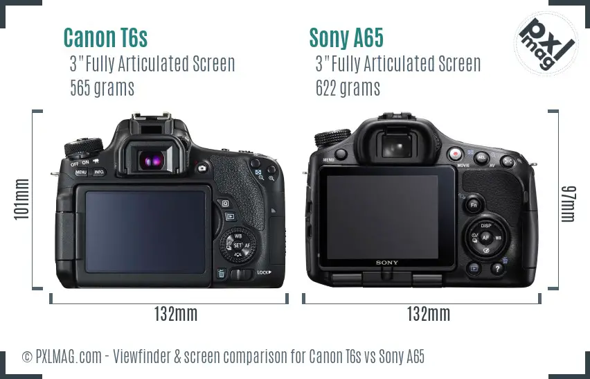 Canon T6s vs Sony A65 Screen and Viewfinder comparison