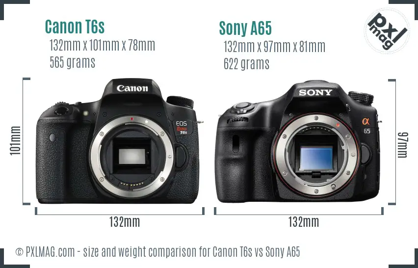 Canon T6s vs Sony A65 size comparison
