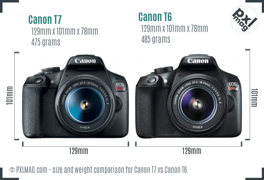 Canon T7 vs Canon T6 size comparison