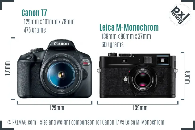 Canon T7 vs Leica M-Monochrom size comparison