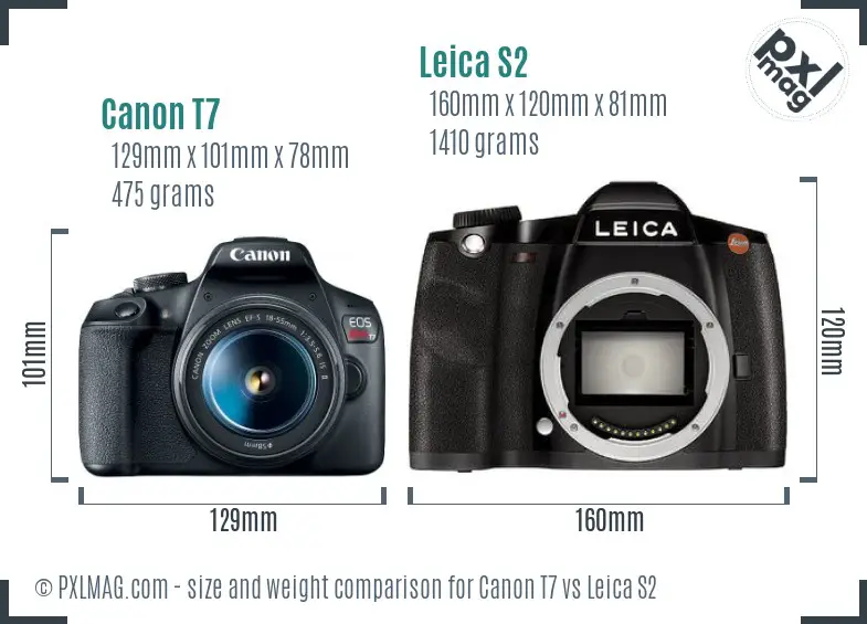 Canon T7 vs Leica S2 size comparison