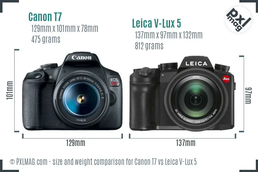 Canon T7 vs Leica V-Lux 5 size comparison
