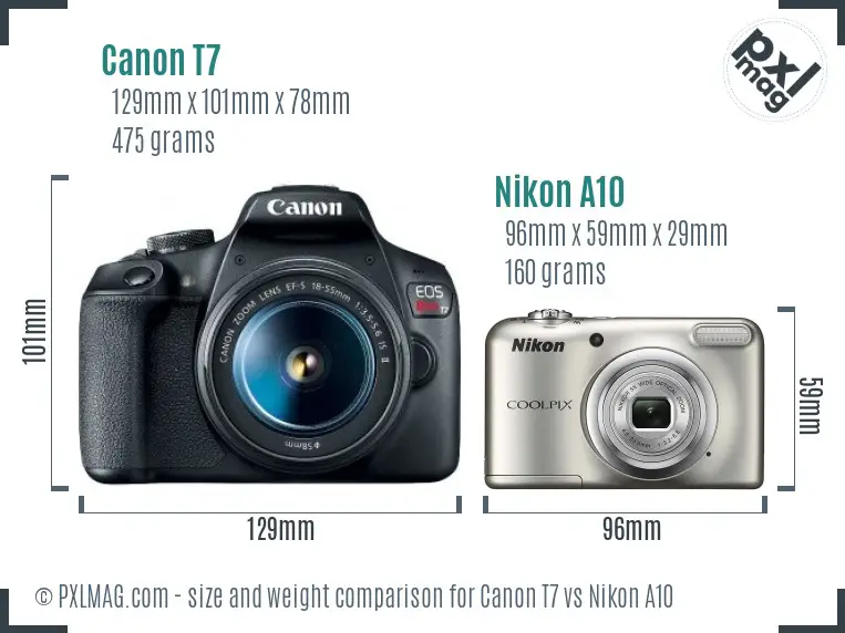 Canon T7 vs Nikon A10 size comparison