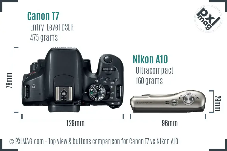 Canon T7 vs Nikon A10 top view buttons comparison