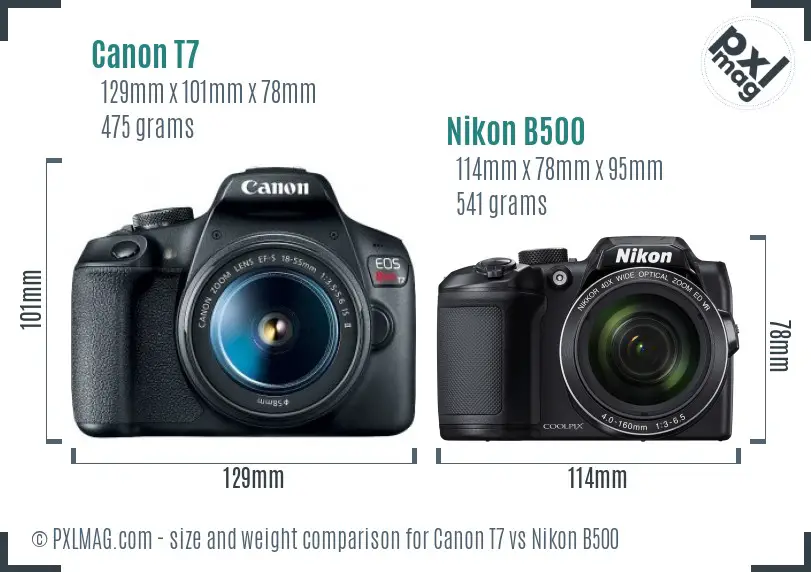 Canon T7 vs Nikon B500 size comparison