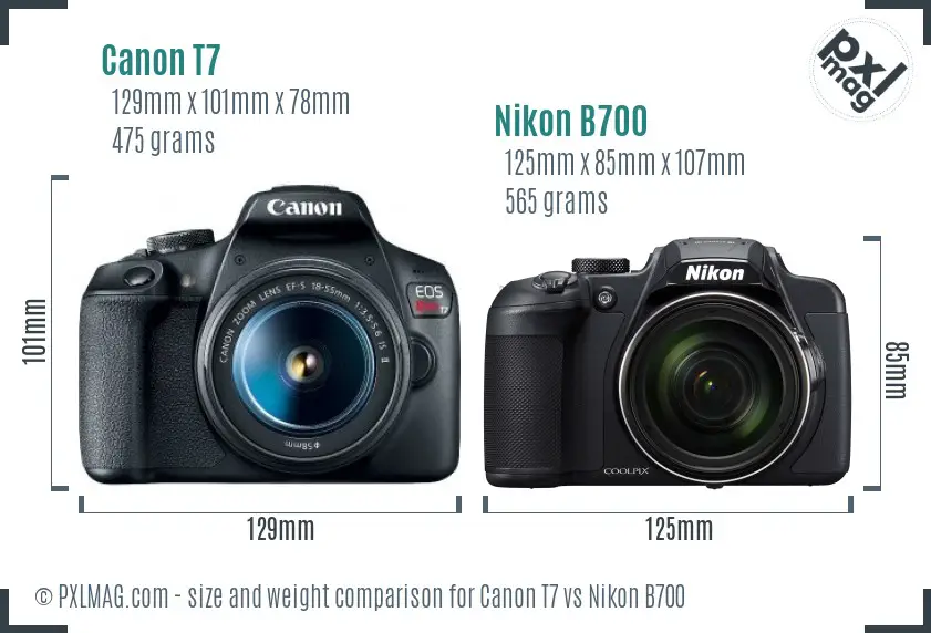 Canon T7 vs Nikon B700 size comparison Canon T7 vs Nikon B700 size comparison