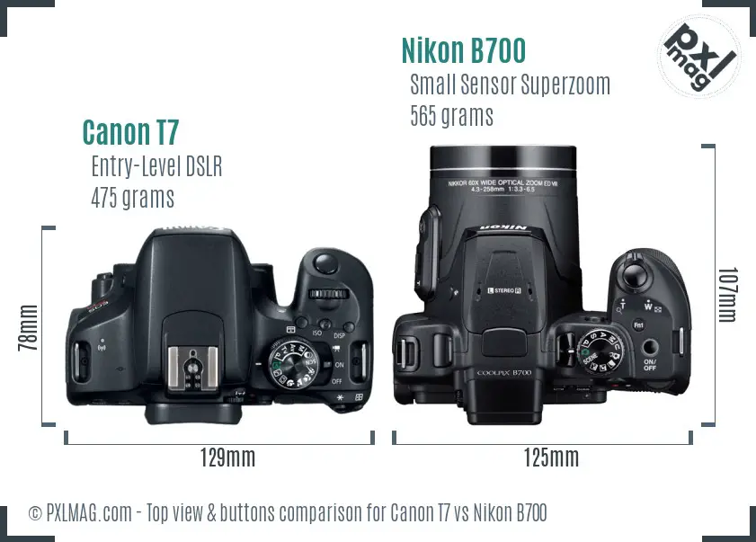 Canon T7 vs Nikon B700 top view buttons comparison Canon T7 vs Nikon B700 top view buttons comparison