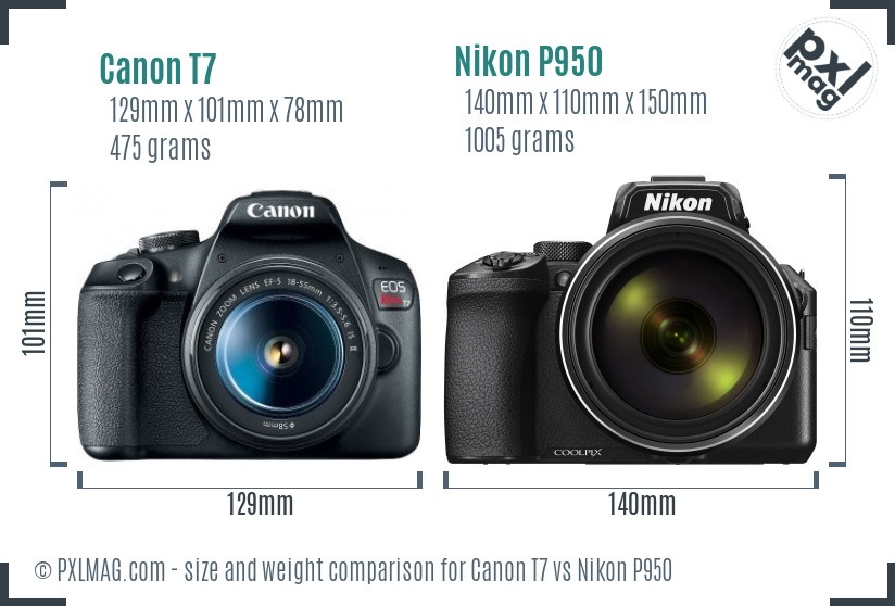 Canon T7 vs Nikon P950 size comparison