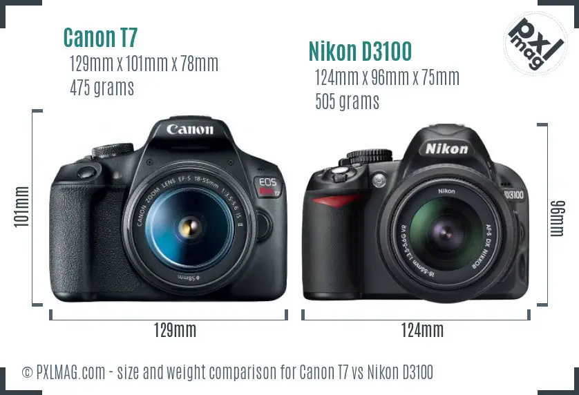 Canon T7 vs Nikon D3100 size comparison