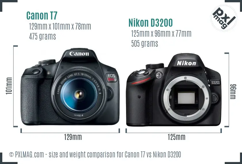 Canon T7 vs Nikon D3200 size comparison
