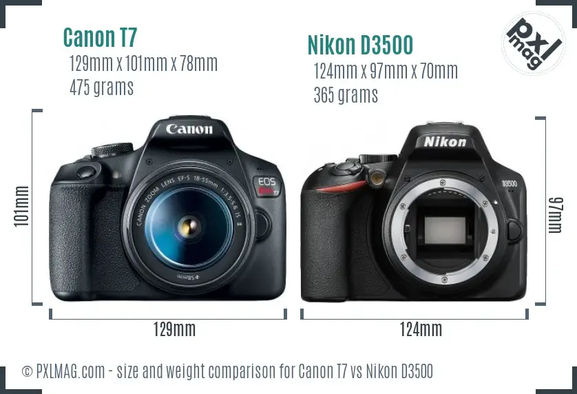 Canon T7 vs Nikon D3500 size comparison