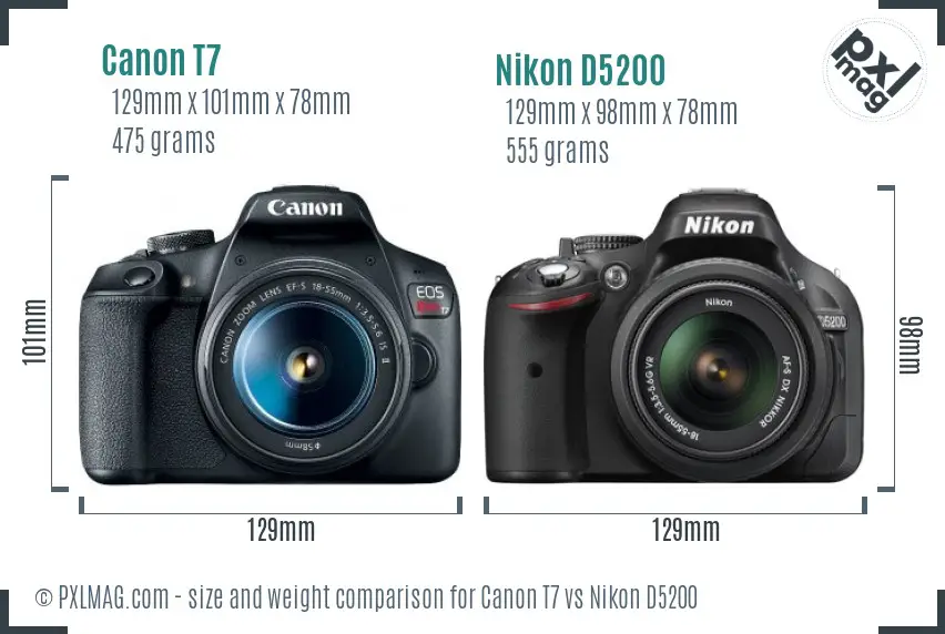 Canon T7 vs Nikon D5200 size comparison