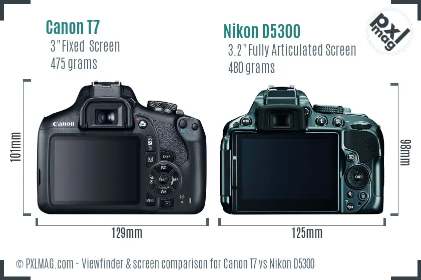Canon T7 vs Nikon D5300 Screen and Viewfinder comparison