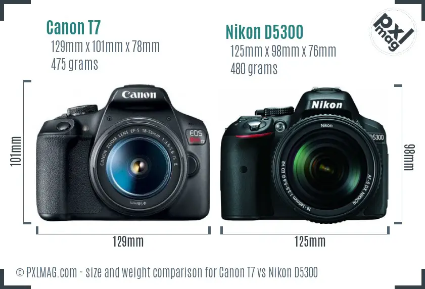 Canon T7 vs Nikon D5300 size comparison