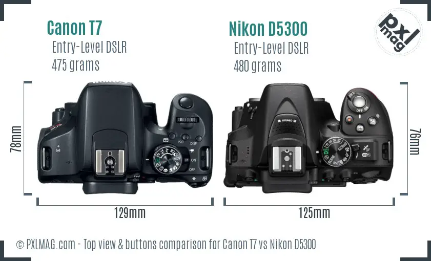 Canon T7 vs Nikon D5300 top view buttons comparison
