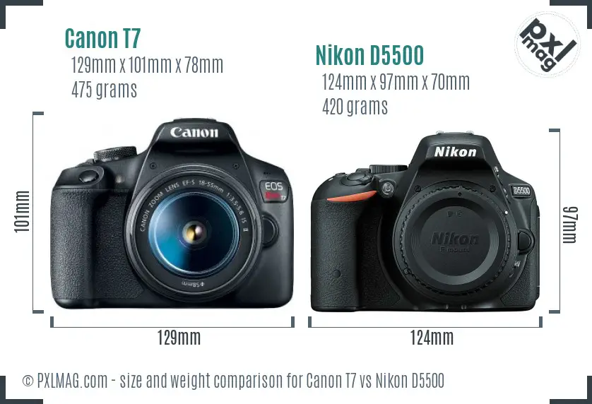 Canon T7 vs Nikon D5500 size comparison