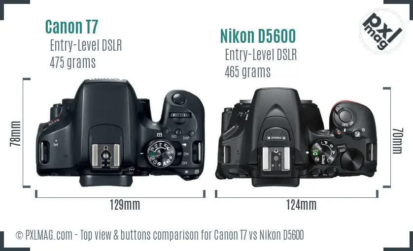 Canon T7 vs Nikon D5600 top view buttons comparison