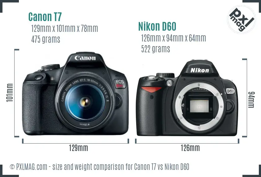 Canon T7 vs Nikon D60 size comparison