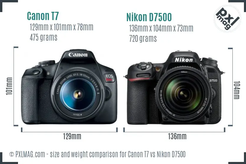 Canon T7 vs Nikon D7500 size comparison Canon T7 vs Nikon D7500 size comparison