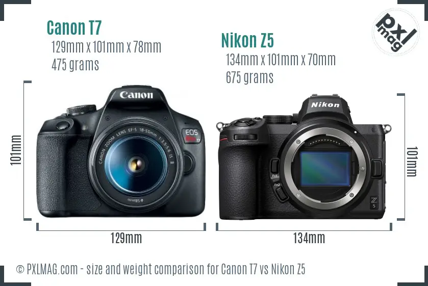 Canon T7 vs Nikon Z5 size comparison