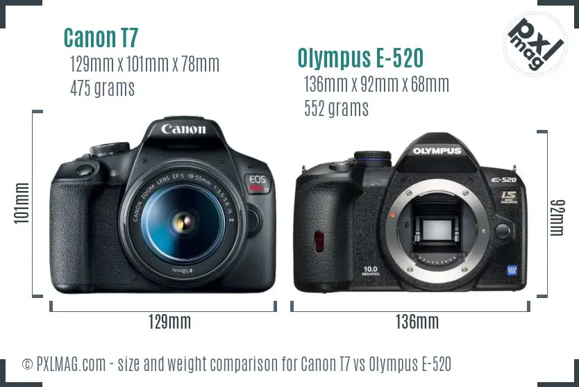 Canon T7 vs Olympus E-520 size comparison