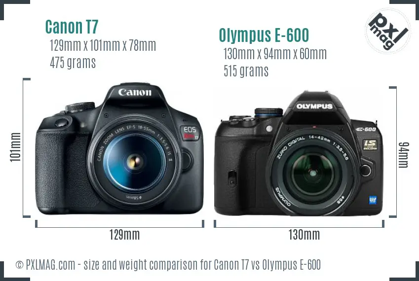 Canon T7 vs Olympus E-600 size comparison