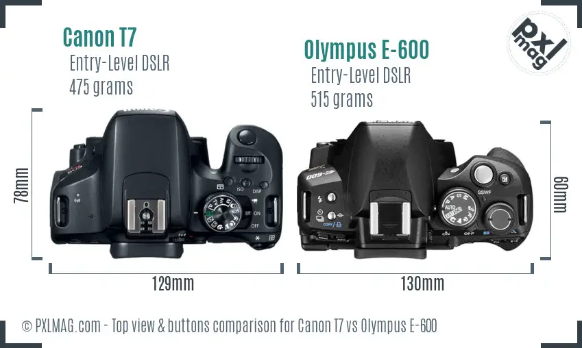 Canon T7 vs Olympus E-600 top view buttons comparison