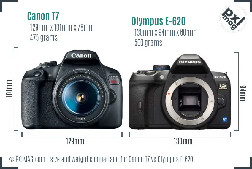 Canon T7 vs Olympus E-620 size comparison