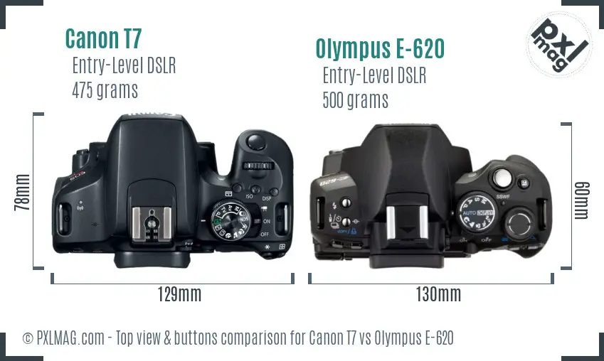 Canon T7 vs Olympus E-620 top view buttons comparison