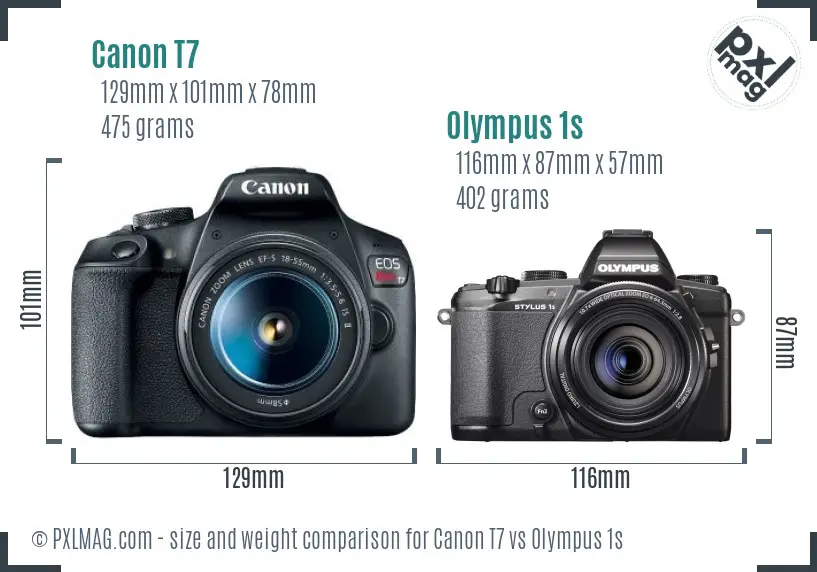 Canon T7 vs Olympus 1s size comparison